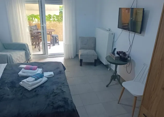 Zizi\'S Home